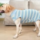 thumbnail image 3 of Ropa de esterilización para mascotas Ropa fisiológica Ropa de recuperación después de la operación 1193, 3 of 6