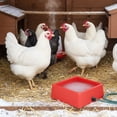 thumbnail image 3 of Farm Innovators Bol Chauffant Électrique pour Animaux de 1.25 Gallon, 60W, Rouge, 3 of 3