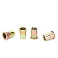 thumbnail image 1 of Pièces de Fixation Insert Écrou, Rivet Écrou, Zinc Carbone Plaqué pour Instruments Automobiles, 1 of 7