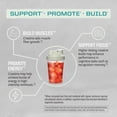 thumbnail image 5 of Sunwarrior Creatine Monohydrate Powder | Micronized | PreWorkout | Recovery | Vegan | Keto Friendly | 60 Servings | 10.58 oz, 5 of 8