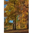 thumbnail image 2 of Fitzharris, Tim 15x18 White Modern Wood Framed Museum Art Print Titled - Tyler Lake State Park-Texas, 2 of 4