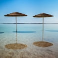 thumbnail image 2 of Frank, Assaf 20x20 Black Ornate Wood Framed with Double Matting Museum Art Print Titled - Bathing canopy on the beach on the Dead Sea, Israel, 2 of 4