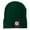 Green, variant on Santa with Christmas Lights Embroidered Beanie - Royal OSFM