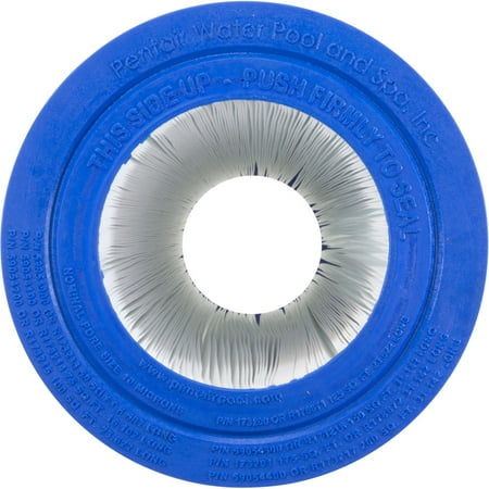 Pentair R173217 200 Square Feet Cartridge Element for Pool and Spa Filters