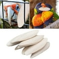 thumbnail image 4 of 10pc Sepia Bowls Birds Chewing Toy Parrots Chew Toy Octopus Sepia Bone for Turtles Birds Snails, 4 of 7