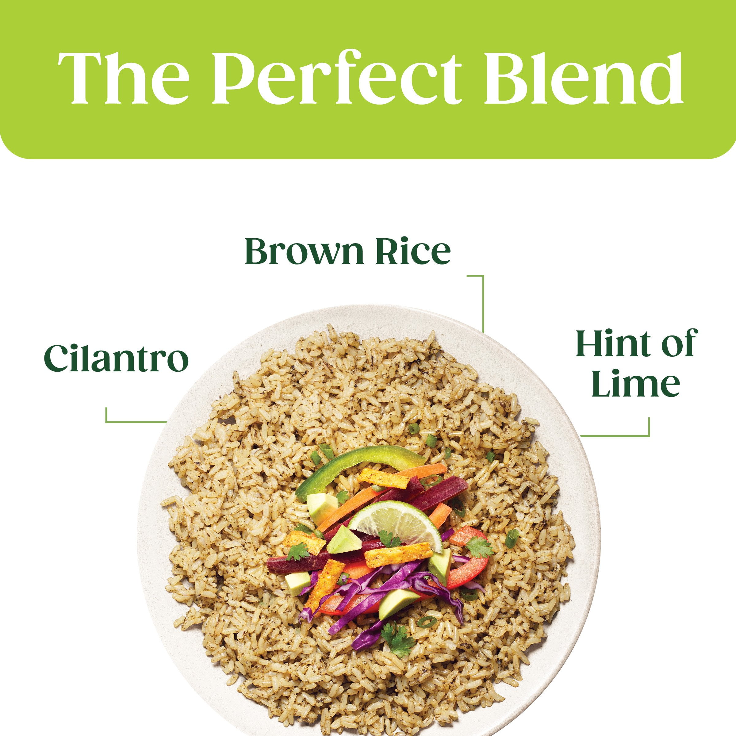 Pack of 2 Seeds of Change Organic Brown Jasmine Rice with Cilantro Lime, 8.5 oz (Package May Vary)