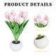 thumbnail image 1 of Luz De Noche De Tulipán Tulip Night Light Lighting Ornaments 300mAh Recargable LED Flower Lamp (Rosa) Likrtyny Para estrenar, 1 of 9
