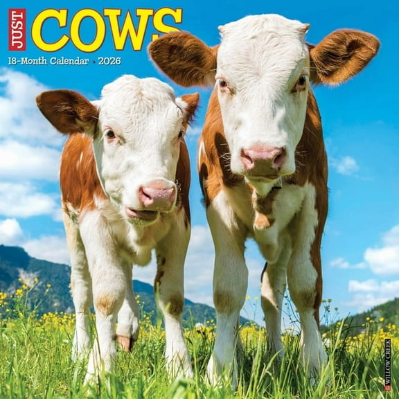 Cows 2026 Wall Calendar, (Paperback)
