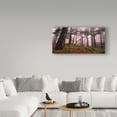 thumbnail image 3 of Trademark Fine Art 'Mountain And Trees' Canvas Art by Giuseppe Torre, 3 of 3