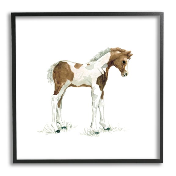 Young Farm Horse Minimal Country Animal over White Animals & Insects Framed Art Print Wall Art, 17x17