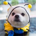 thumbnail image 3 of 1 Pce Imperméable pour Animal en Forme d'Abeille avec Capuchon Imperméable Élégant pour Chien, 3 of 9