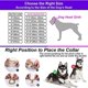 thumbnail image 2 of Txprodogchains Collar De Perro Con Cadena De Oro De 18 Quila, 2 of 5