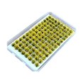 thumbnail image 1 of jifeng Artificial DIY Miniature Flower Cluster Grass Tufts Diorama Layout Scenery Model Yellow, 1 of 9