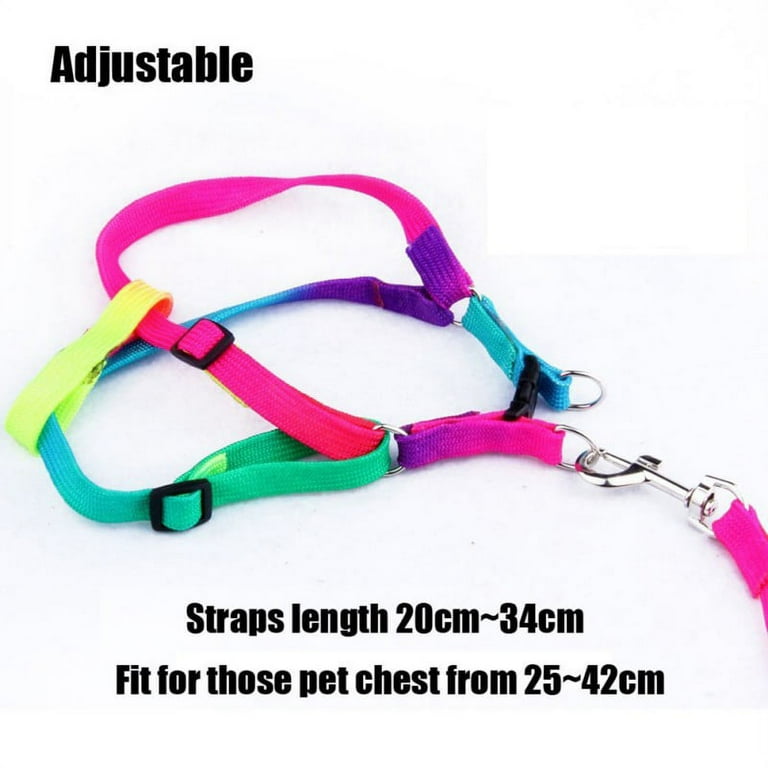 Anti-Breakaway Dog Traction Rope Harness