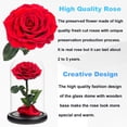 thumbnail image 4 of Roses Rouges Fleur Préservée Vraie Rose sous Cloche en Verre, Roses Préservées Jamais Flétries Cadeaux Romantiques pour Elle, Saint-Valentin, Fête des Mères, Anniversaire, Fête d'Anniversaire, Mariage et Noël Grande, 4 of 5