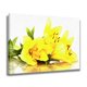 thumbnail image 2 of Hermoso póster de flores de lirios amarillos, pintura decorativa, lienzo, arte de pared, carteles para sala de estar, pintura para dormitorio, estilo marco, 20 x 30 cm, 2 of 8