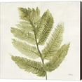 thumbnail image 1 of Forest Ferns I by Albena Hristova, Canvas Wall Art, 1 of 1