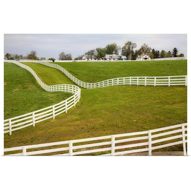 Great BIG Canvas | "White fence on Calumet Horse Farm, Lexington, Kentucky"  Art Print - 24x16 - Walmart.com