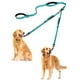 thumbnail image 1 of Correa doble para perros PetBonus, no se enreda, reflectante, turquesa, 1 of 6