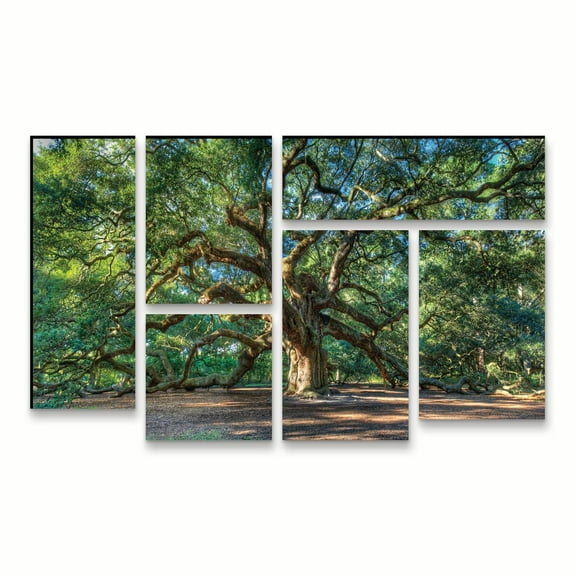 Trademark Fine Art 'Angel Oak Charleston' Canvas Art by Pierre Leclerc