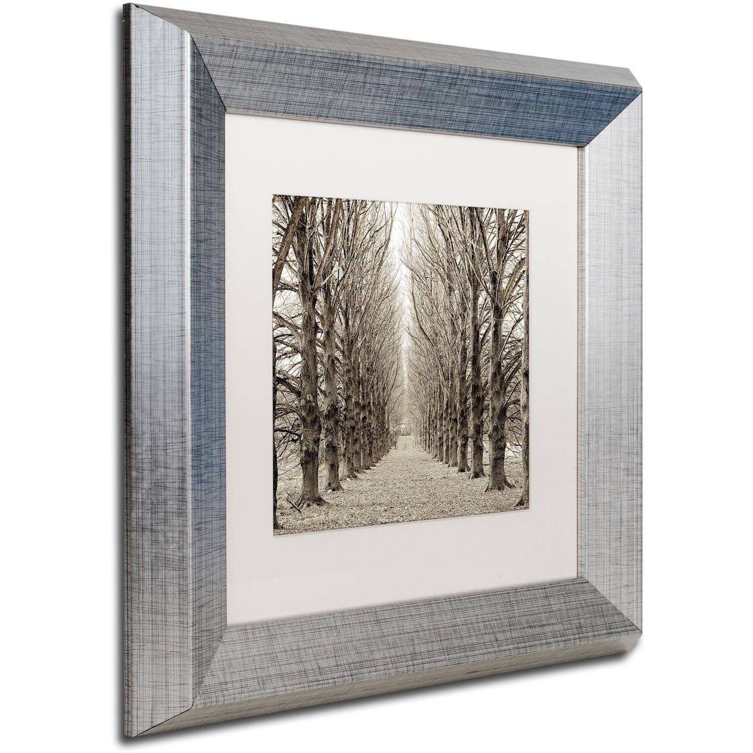 Trademark Fine Art "Hampton Gates Promenade III" Canvas Art by Alan Blaustein, White Matte, Silver Frame