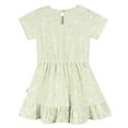 thumbnail image 2 of Gerber Toddler Girl Short-Sleeve Ruffled Hem Dress, Sizes 2T-5T, 2 of 5
