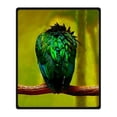 thumbnail image 1 of RYLABLUE Bird Blanket Fleece Throw Blanket for Sofa or Bed 58x80 inches, 1 of 3