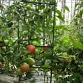 thumbnail image 4 of COSMOBETTY Plastic 11.79X0.79X0.59in Deformable Tomato Plant Cage Stake Arms, 4 of 8