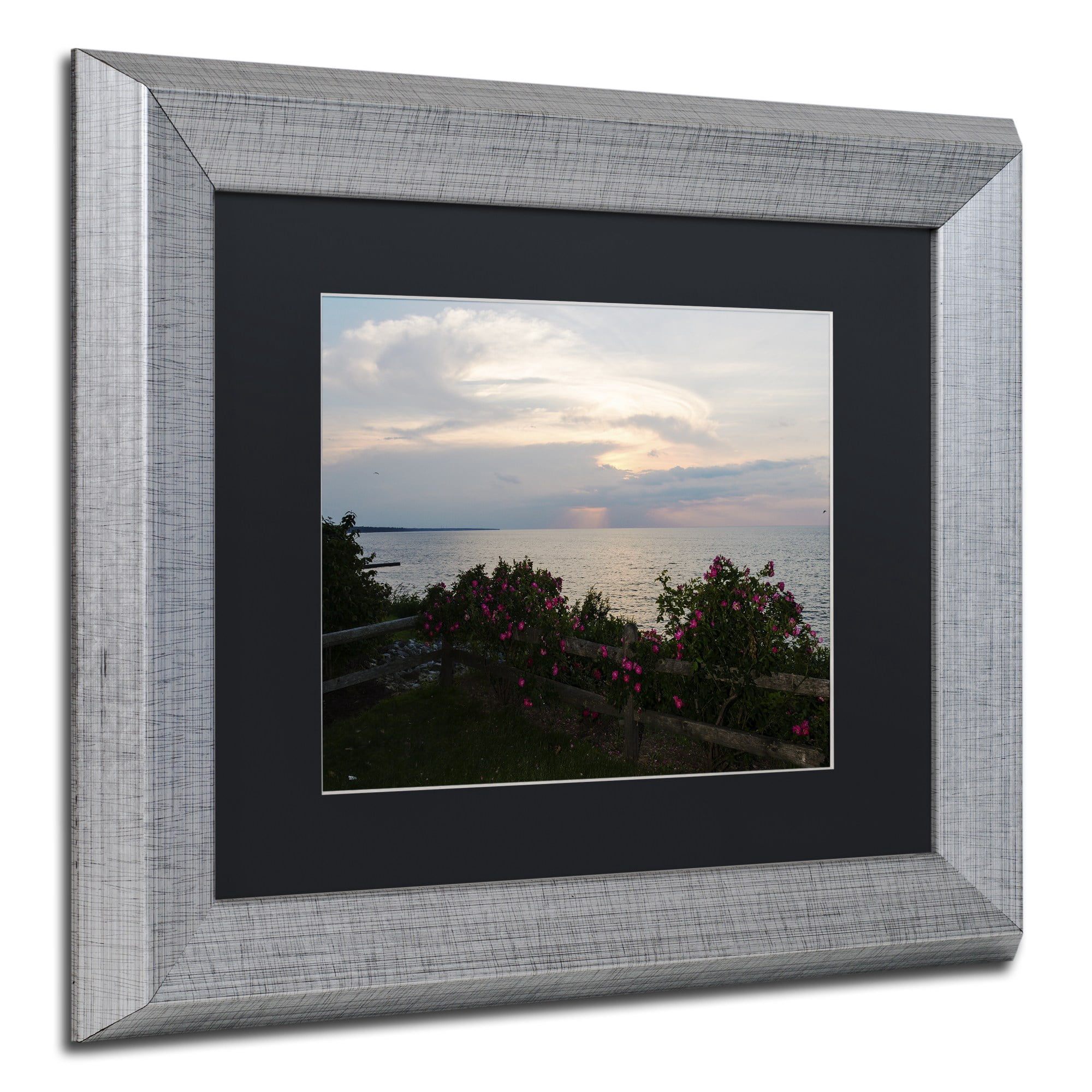 Trademark Fine Art "Roses in Bloom Along the Lake" Canvas Art by Kurt Shaffer, Black Matte, Silver Frame