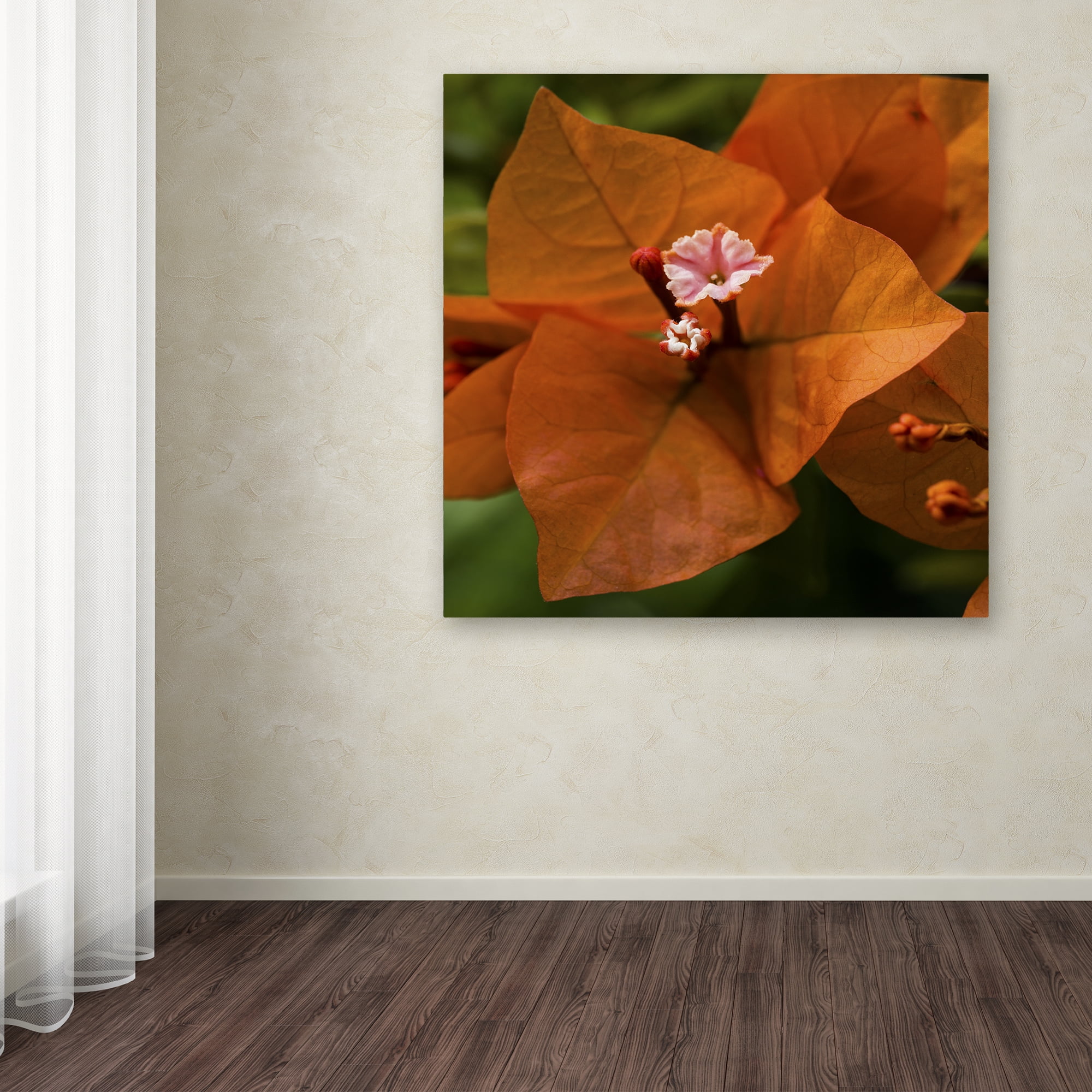 Trademark Fine Art "Orange Bougainvillea" Canvas Art by Kurt Shaffer