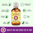 thumbnail image 2 of Deve Herbes Fennel Seed Essential Oil (Foeniculum Vulgare) - 0.16 Fl Oz (5ml) - 100% Natural Fennel Oil for Massage, Diffuser & Aromatherapy- without Dropper, 2 of 5