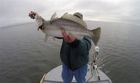 lew's xfinity inshore spinning combo