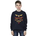 thumbnail image 2 of Harry Potter Boys Quidditch Golden Snitch Sweatshirt, 2 of 3