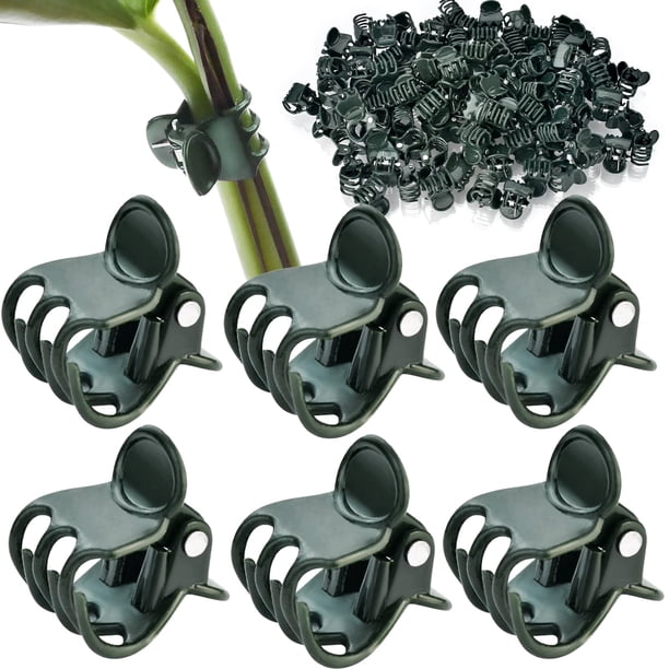 100 Piezas Clips Grandes para Plantas Clips para orquídeas Clips de Soporte para orquídeas y Flores Clips para vid de Flores para Soporte de Tallos de Enredaderas Escalada