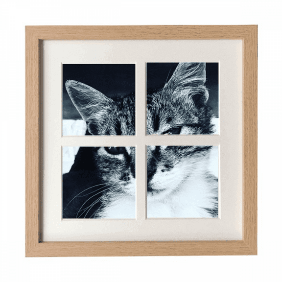 Animal Cool Gray Cat Photograph Frame Wall Tabletop Display 4 Openings Picture