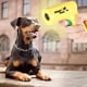 thumbnail image 2 of Ahuyentador de Perros ANGGREK Ahuyentador ultrasónico Electrónico para Perros y gatos color amarillo, 2 of 8