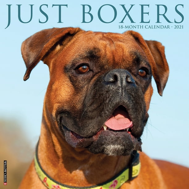 Just Boxers 2021 Wall Calendar (Dog Breed Calendar) (Other) - Walmart Just Boxers 2021 Wall Calendar (Dog Breed Calendar) (Other) - Walmart