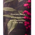 thumbnail image 2 of Pure Seduction Untamed Fragance Mist Victoria Secret 250 ml Spray Victoria's Secret Pure Seduction Untamed, 2 of 2