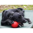 thumbnail image 2 of Juguete para Perros Jolly Pets Tug-n-Toss Pelota Resistente con Asa 10 cm, 2 of 3