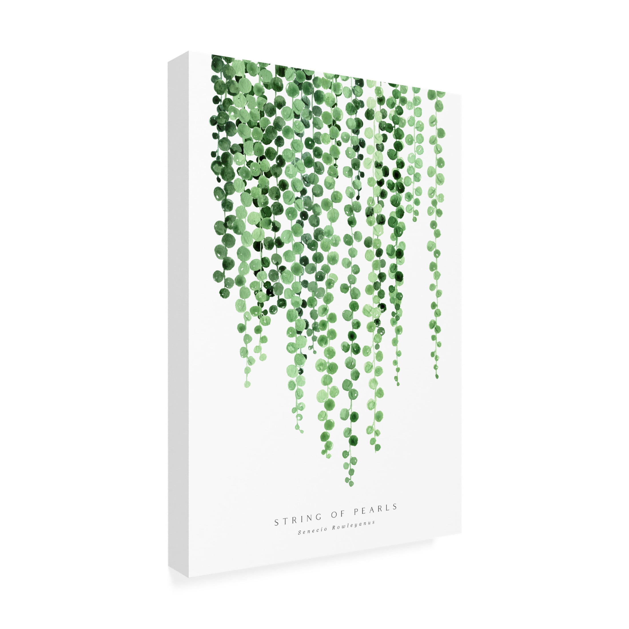 Canvas Wall Art - blursbyai 'Watercolor String Of Pearls' Wall Art for Living Room, Bedroom, or Office Décor by Trademark Fine Art - 12 x 19 Inches