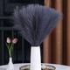 thumbnail image 3 of 50CM 10PCS Fluffy Pampas Grass Boho Decor Flower Fake Plant Reed Simulated Wedding Party Christmas Home Decor Artificial Flower, 3 of 5