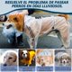 thumbnail image 3 of Impermeable para Perro, Chaqueta de Lluvia Ajustable con Capucha Transparente de Doble Capa, 3 of 4