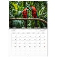 thumbnail image 6 of Typical Brazil (Monthly Wall Calendar 2026 11.7 x 16.5 (open)), CALVENDO 14 Month Calendar, 6 of 9