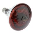 thumbnail image 5 of 6xWaterproof E27 Heat Light Bulb Breeding Lamp Infrared Heater Bulbs 100W, 5 of 5