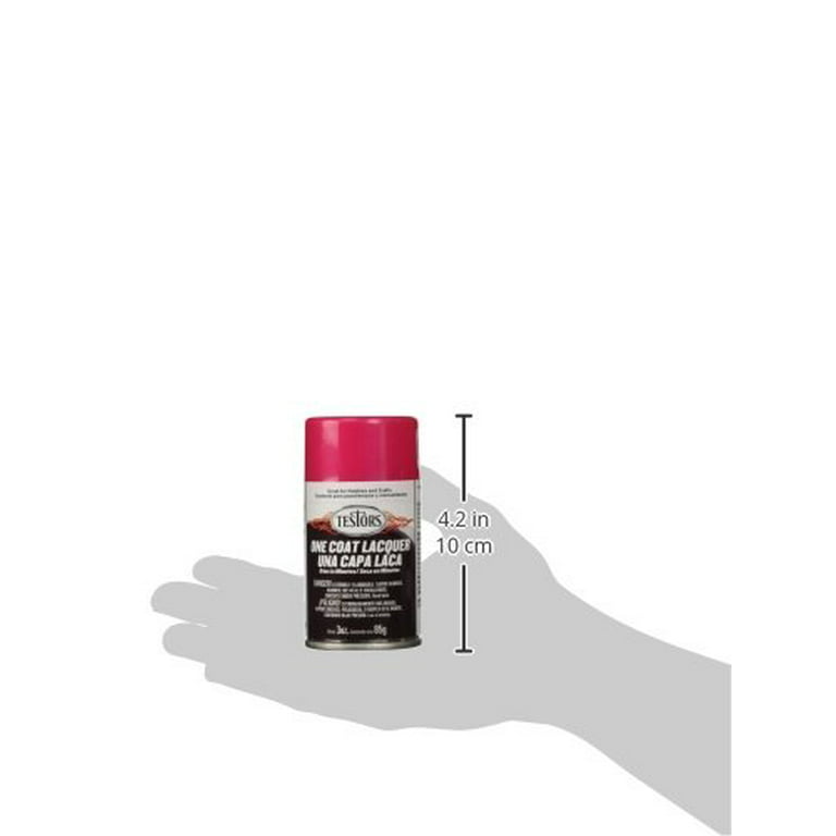 Testors 1841M Electric Pink One Coat Lacquer 3 oz. Spray Paint Can – Trainz