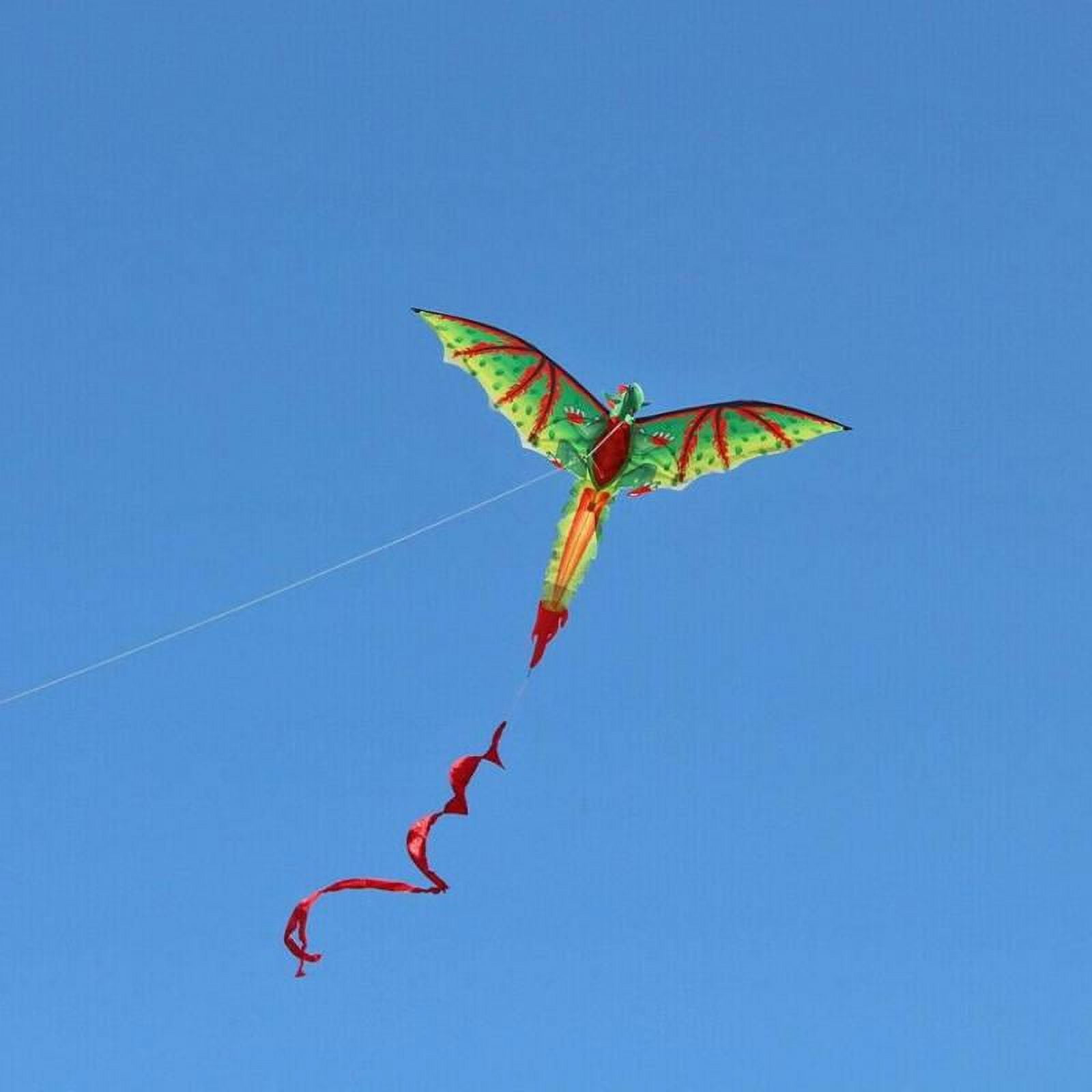 LeeQinersw 3D Dinosaur Kite Multicolor Long Tail Design,Easy to Fly 3D Single Line Kite | Enjoyable Kite for Adults Kids |Great 3D Kite for Outdoor Beach or Park