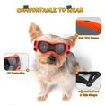 thumbnail image 2 of Gafas para Perro PETLESO para Razas Pequeñas con Protección UV, 2 of 6