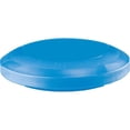 thumbnail image 1 of Exercise Disc, Blue, 1 of 1