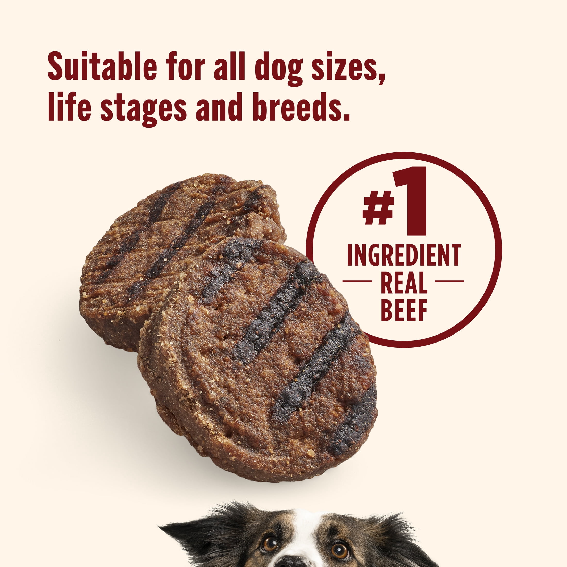 (2 pack) Nutrish Burger Bites Beef Recipe with Bison Premium Dog Treats, 12 oz. Pouch (Rachael Ray)