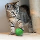 thumbnail image 3 of Pelota para perros Xihbxyly Juguete Interactivo, 3 of 7